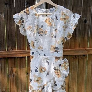 Pretty Clothing Company over-the-knee dress